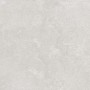 Ashcombe Greige Porcelain Wall & Floor Tile PTV36 600X600mm